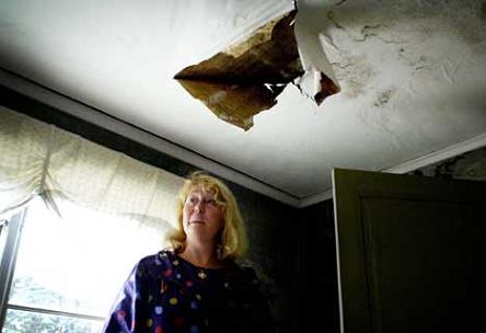 Liyrotyka [bo-plafo.jpg]